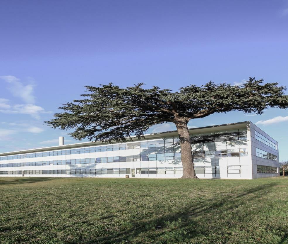 Bureau Toulouse 249m² Location bureau Toulouse Haute-Garonne OLBUR2426403 1